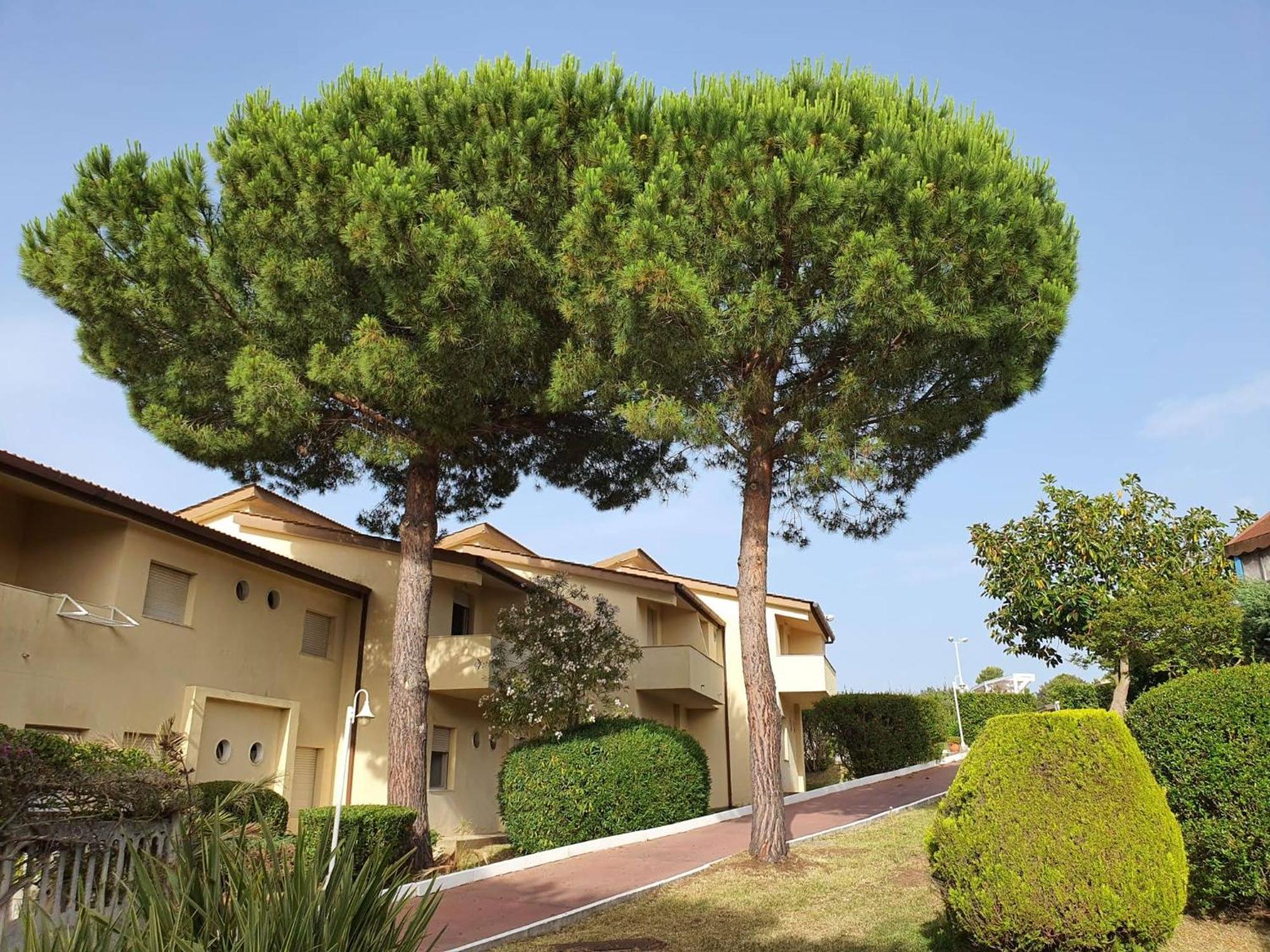 Villaggio Hotel Club La Pace Tropea Extérieur photo
